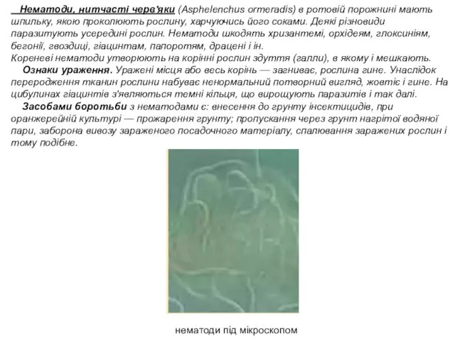 Нематоди, нитчасті черв'яки (Asphelenchus ormeradis) в ротовій порожнині мають шпильку, якою