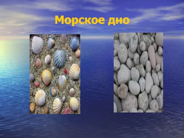 Морское дно