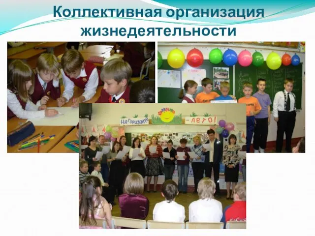 Коллективная организация жизнедеятельности