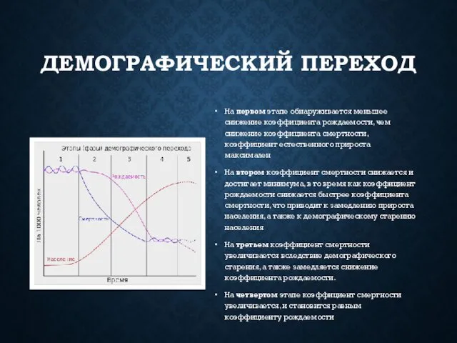 ДЕМОГРАФИЧЕСКИЙ ПЕРЕХОД На первом этапе обнаруживается меньшее снижение коэффициента рождаемости, чем