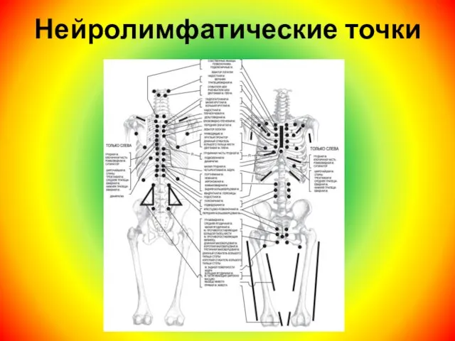 Нейролимфатические точки