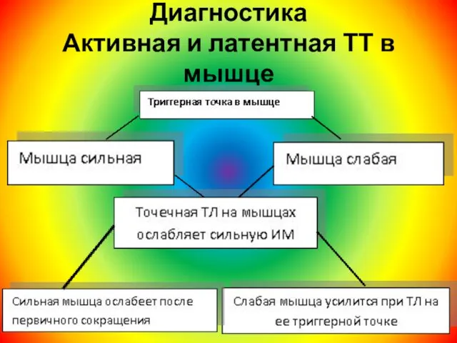 Диагностика Активная и латентная ТТ в мышце