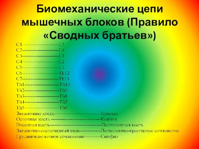 Биомеханические цепи мышечных блоков (Правило «Сводных братьев»)