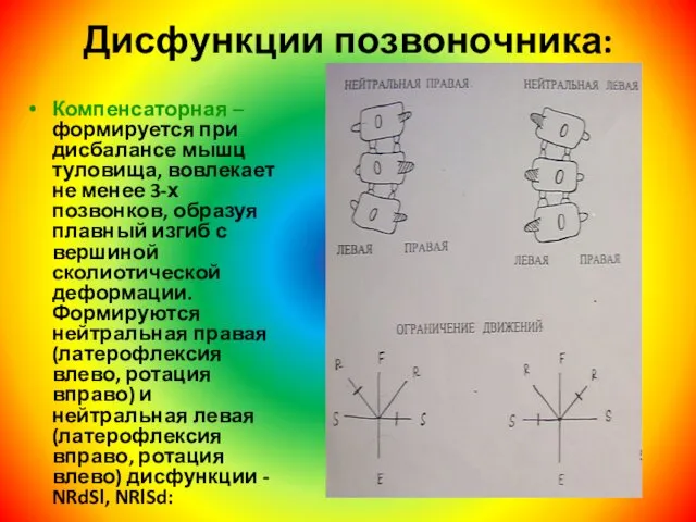 Дисфункции позвоночника: Компенсаторная – формируется при дисбалансе мышц туловища, вовлекает не