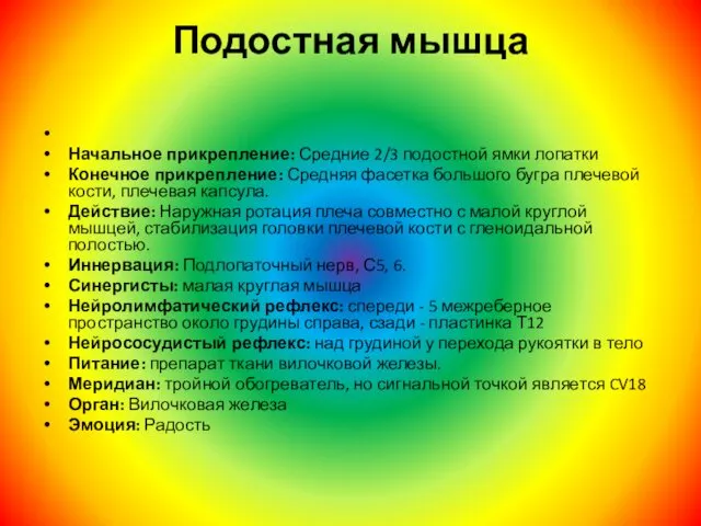 Подостная мышца Начальное прикрепление: Средние 2/3 подостной ямки лопатки Конечное прикрепление: