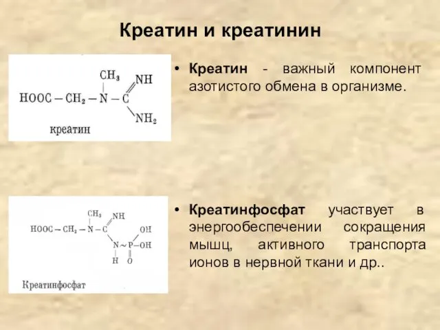 Креатин и креатинин Креатин - важный компонент азотистого обмена в организме.