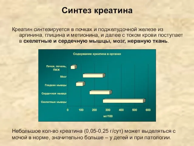 Синтез креатина Креатин синтезируется в почках и поджелудочной железе из аргинина,