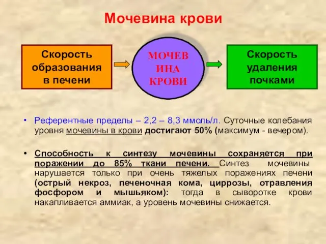 Мочевина крови Референтные пределы – 2,2 – 8,3 ммоль/л. Суточные колебания