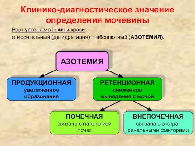 Клинико-диагностическое значение определения мочевины Рост уровня мочевины крови: относительный (дегидратация) +