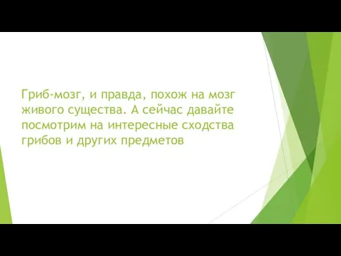 Гриб-мозг, и правда, похож на мозг живого существа. А сейчас давайте