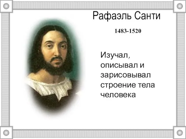 Рафаэль Санти 1483-1520 Изучал, описывал и зарисовывал строение тела человека