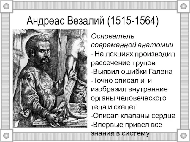 Андреас Везалий (1515-1564) Основатель современной анатомии - На лекциях производил рассечение