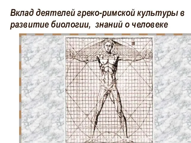 Вклад деятелей греко-римской культуры в развитие биологии, знаний о человеке