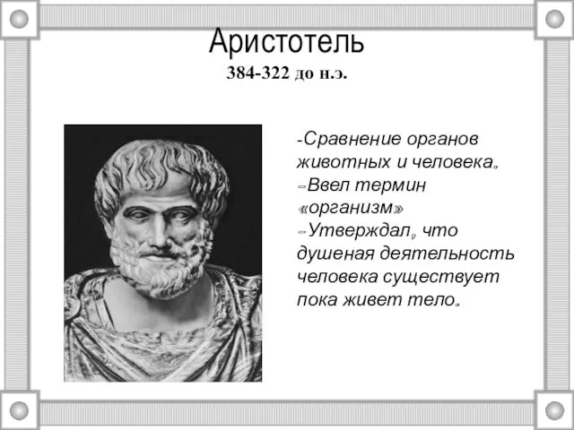 Аристотель 384-322 до н.э. -Сравнение органов животных и человека. -Ввел термин