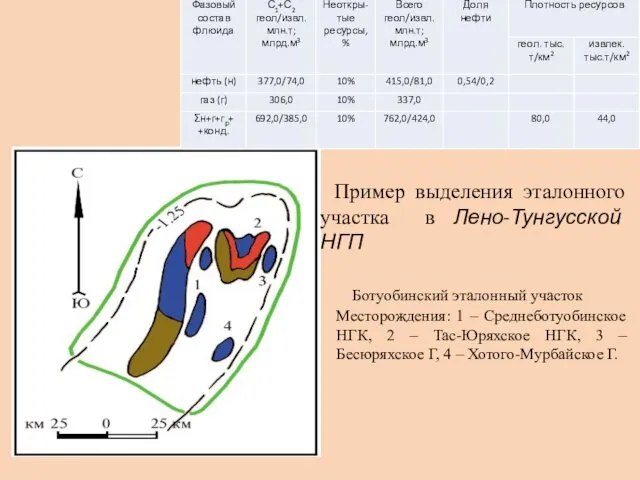 Пример выделения эталонного участка в Лено-Тунгусской НГП Ботуобинский эталонный участок Месторождения: