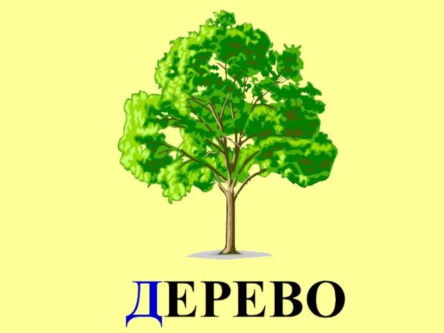 ДЕРЕВО