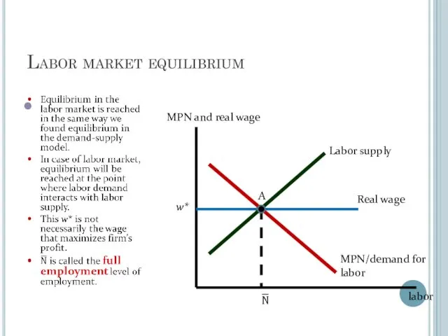 Labor market equilibrium w* MPN and real wage labor MPN/demand for