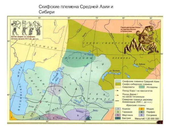 Скифские племена Средней Азии и Сибири