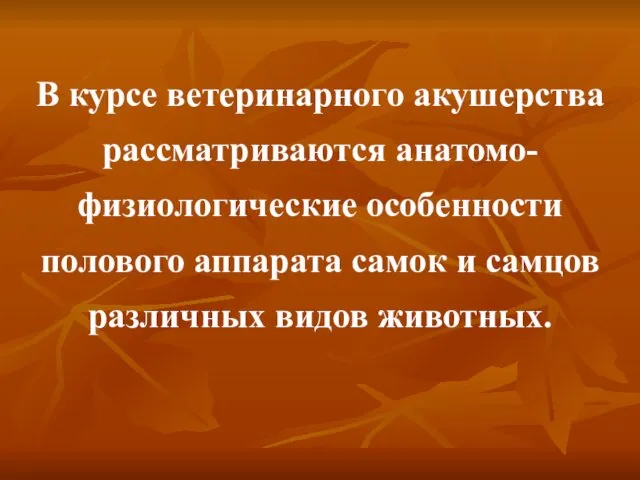 В курсе ветеринарного акушерства рассматриваются анатомо-физиологические особенности полового аппарата самок и самцов различных видов животных.