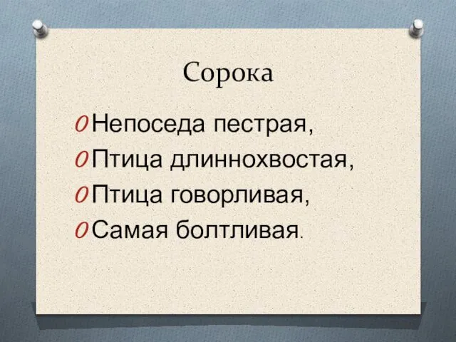 Сорока Непоседа пестрая, Птица длиннохвостая, Птица говорливая, Самая болтливая.