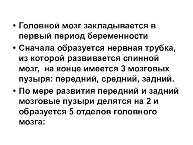 Головной мозг закладывается в первый период беременности Сначала образуется нервная трубка,