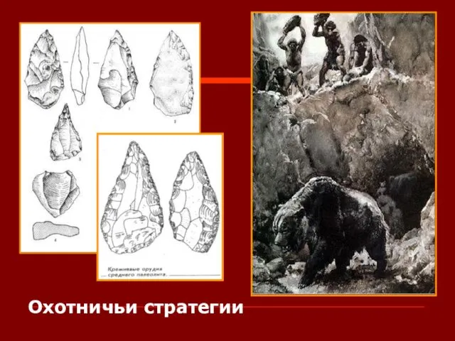 Охотничьи стратегии