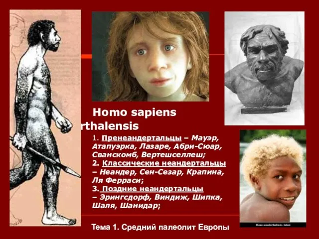 Homo sapiens Neanderthalensis 1. Пренеандертальцы – Мауэр, Атапуэрка, Лазаре, Абри-Сюар, Сванскомб,