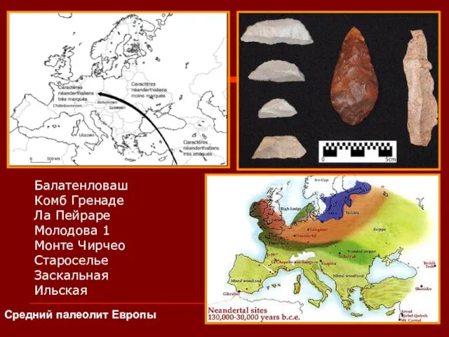Балатенловаш Комб Гренаде Ла Пейраре Молодова 1 Монте Чирчео Староселье Заскальная Ильская Средний палеолит Европы