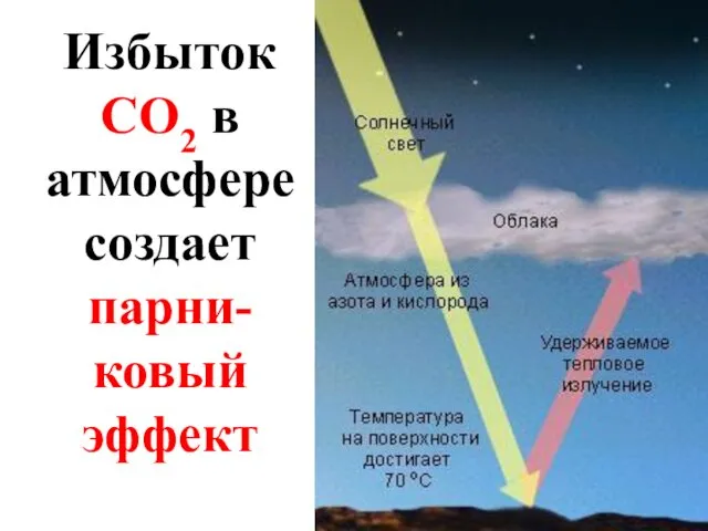 Избыток CO2 в атмосфере создает парни-ковый эффект