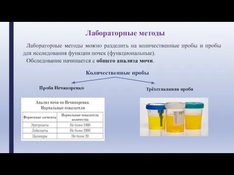 Лабораторные методы можно разделить на количественные пробы и пробы для исследования