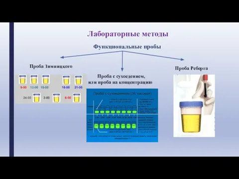 Лабораторные методы Функциональные пробы Проба Зимницкого Проба с сухоедением, или проба на концентрацию Проба Реберга