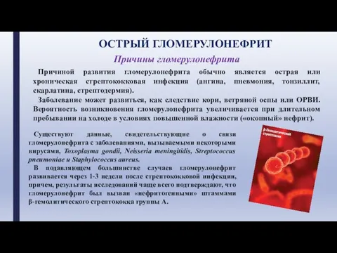 ОСТРЫЙ ГЛОМЕРУЛОНЕФРИТ Причины гломерулонефрита Причиной развития гломерулонефрита обычно является острая или