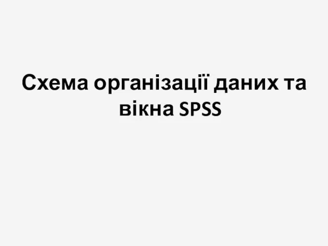 Схема організації даних та вікна SPSS