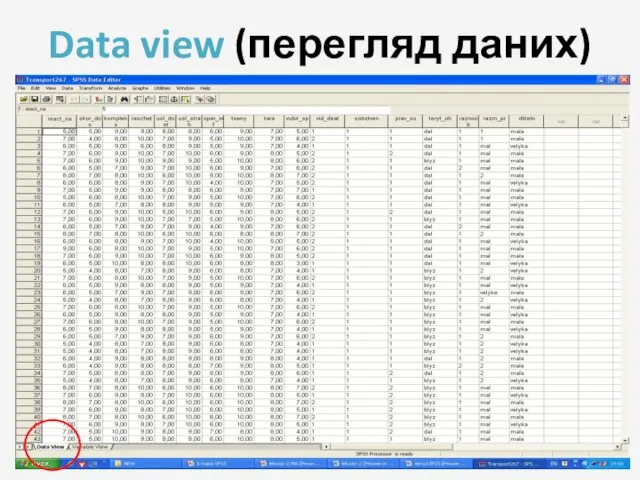 Data view (перегляд даних)