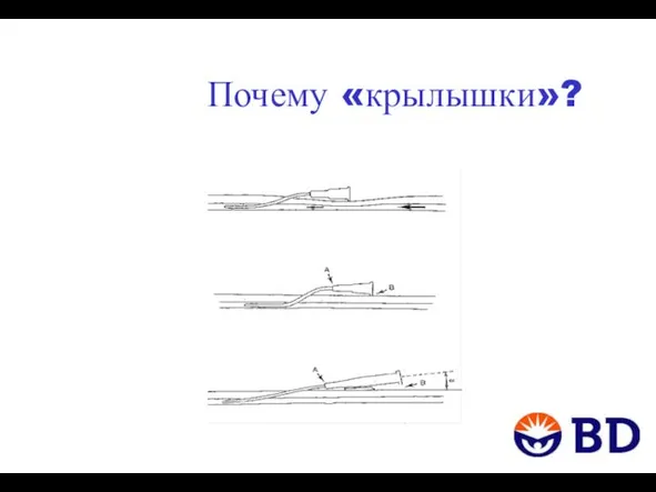 Почему «крылышки»?