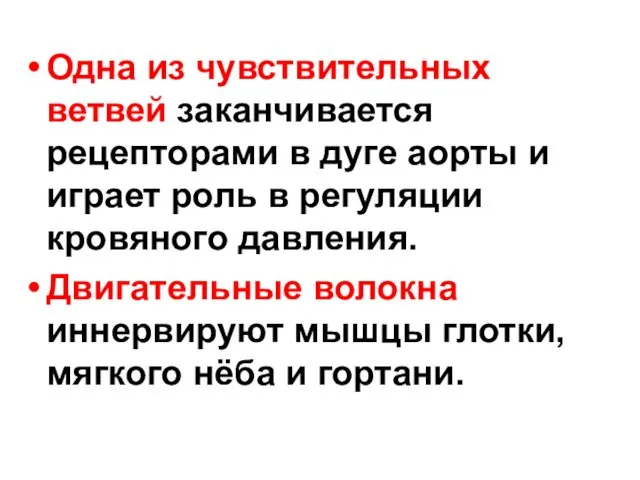 Одна из чувствительных ветвей заканчивается рецепторами в дуге аорты и играет