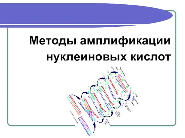 Методы амплификации нуклеиновых кислот