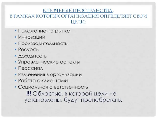 КЛЮЧЕВЫЕ ПРОСТРАНСТВА, В РАМКАХ КОТОРЫХ ОРГАНИЗАЦИЯ ОПРЕДЕЛЯЕТ СВОИ ЦЕЛИ: Положение на