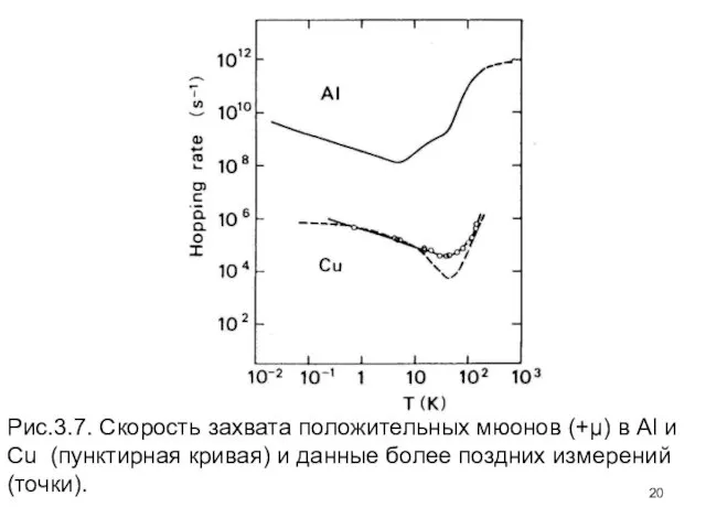 Рис.3.7. Скорость захвата положительных мюонов (+μ) в Al и Cu (пунктирная