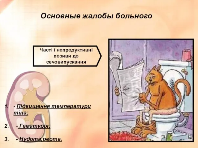 Основные жалобы больного Часті і непродуктивні позиви до сечовипускання - Підвищення