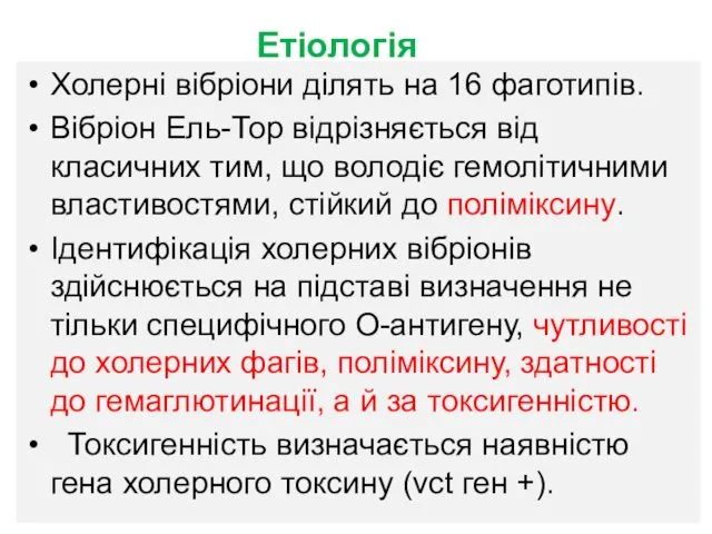 Етіологія Холерні вібріони ділять на 16 фаготипів. Вібріон Ель-Тор відрізняється від