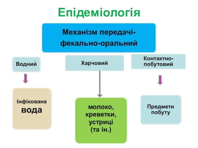 Епідеміологія