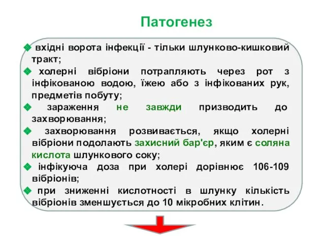 Патогенез вхідні ворота інфекції - тільки шлунково-кишковий тракт; холерні вібріони потрапляють