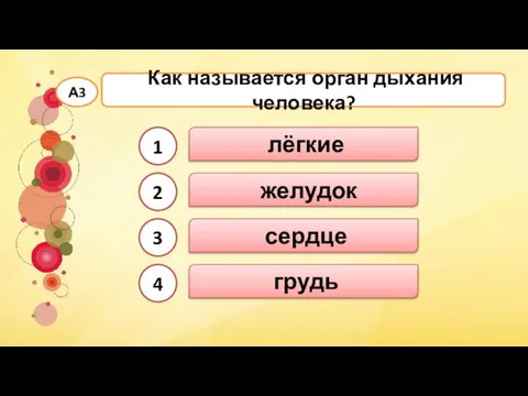 лёгкие Как называется орган дыхания человека? А3 сердце желудок грудь 1 2 3 4