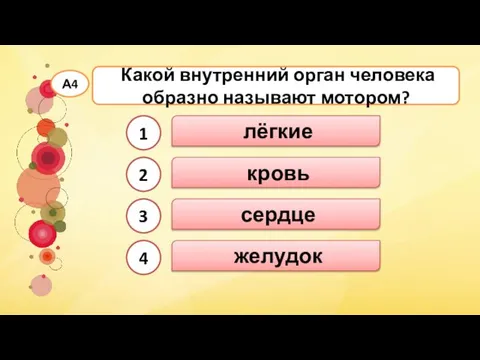 сердце Какой внутренний орган человека образно называют мотором? А4 лёгкие кровь желудок 1 2 3 4