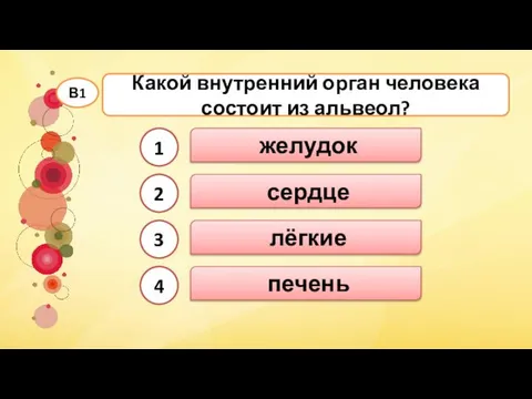 лёгкие Какой внутренний орган человека состоит из альвеол? В1 желудок сердце печень 1 2 3 4