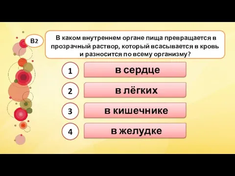 в кишечнике В каком внутреннем органе пища превращается в прозрачный раствор,