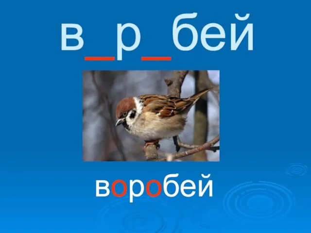 в_р_бей воробей