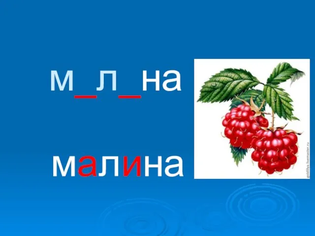 малина м_л_на