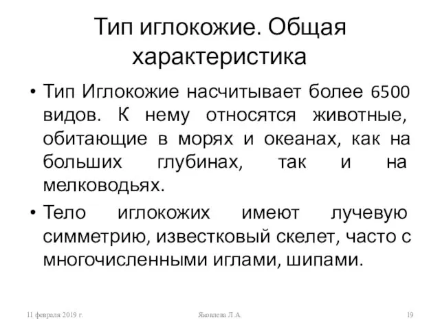 11 февраля 2019 г. Яковлева Л.А. Тип иглокожие. Общая характеристика Тип